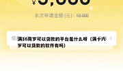 满16周岁可以贷款的平台是什么呀（满十六岁可以贷款的软件有吗）