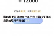 满16周岁可贷款有什么平台（满16岁可以贷款的软件有哪些）