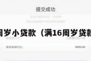 满16周岁小贷款（满16周岁贷款软件）