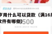 满16周岁用什么可以贷款（满16周岁可以贷款的软件有哪些）