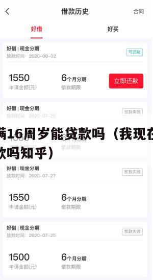 我现在满16周岁能贷款吗(我现在满16周岁能贷款吗知乎)