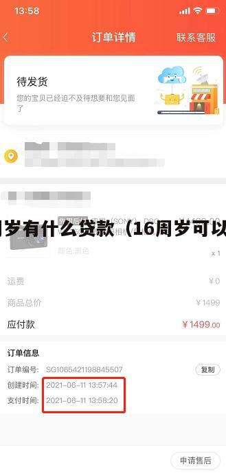 满16周岁有什么贷款(16周岁可以申请的贷款)