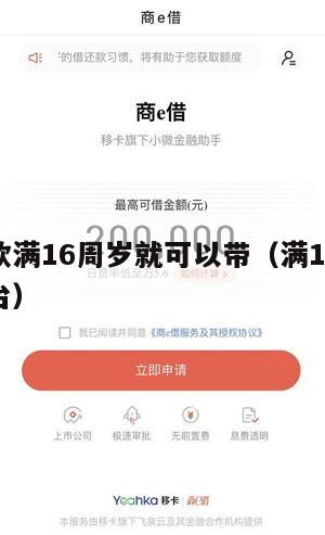 什么贷款满16周岁就可以带(满16可以贷款的平台)