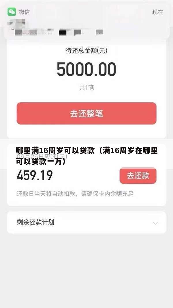 哪里满16周岁可以贷款(满16周岁在哪里可以贷款一万)