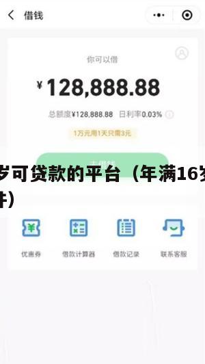 满16周岁可贷款的平台(年满16岁可以贷款的软件)