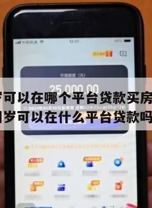 满16周岁可以在哪个平台贷款买房呢视频(已满16周岁可以在什么平台贷款吗)