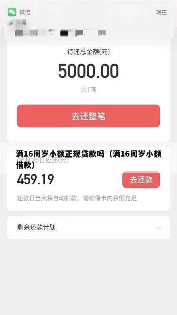 满16周岁小额正规贷款吗(满16周岁小额借款)