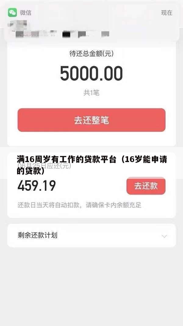 满16周岁有工作的贷款平台(16岁能申请的贷款)